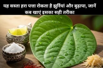 Benefits Of Betel Leaves