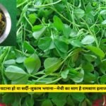 Methi Saag Benefits for Health