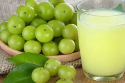 Amla Benefits In Winter