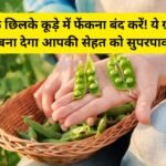 Matar Ke Chhilke Benefits