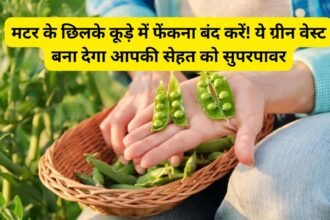 Matar Ke Chhilke Benefits