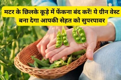 Matar Ke Chhilke Benefits
