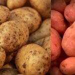 Safed Aloo Aur Lal Aloo Me Kya Fark