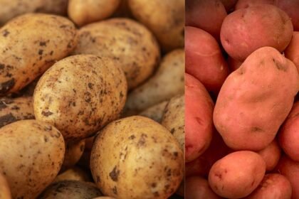 Safed Aloo Aur Lal Aloo Me Kya Fark