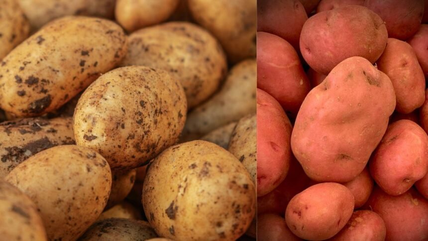 Safed Aloo Aur Lal Aloo Me Kya Fark